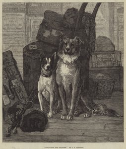 Cizinci a poutníci od Charles Trevor Garland
