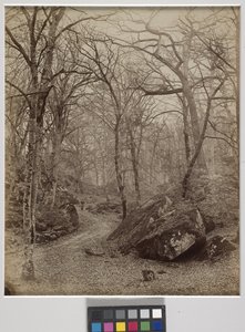 Fontainebleau, kolem roku 1870 (tisk alba) od Charles Victor Famin