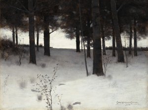 Woods v zimě, 1886.
