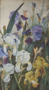 Kosatce, 1882 od Charlotte Hodder
