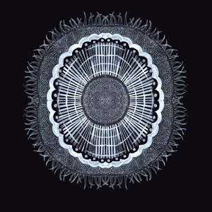 Plant Cell 0.2, 2019 (pero a inkoust) od Charlotte Orr