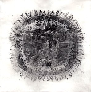 Plant Cells, 2019 (suché leptání) od Charlotte Orr