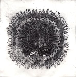 Plant Cells, 2019 (suché leptání) od Charlotte Orr