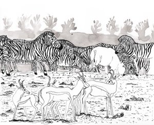 Safari 3, 2018 (inkoust a akvarel) od Charlotte Orr