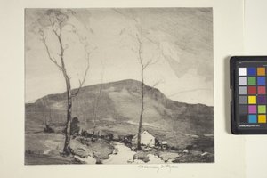House In The Hills (inkoust) od Chauncey Foster Ryder