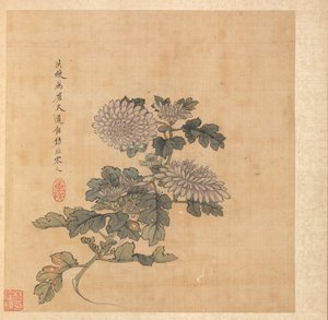 Obrazy podle starých mistrů: Chryzantéma, 1598-1652. od Chen Hongshou