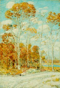 Jestřábí hnízdo od Childe Frederick Hassam