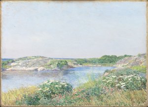 Malý rybník, Appledore