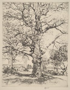  od Childe Hassam