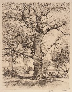 Wayside Inn Oaks na jaře od Childe Hassam