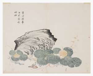 Zahrada hořčičných semen od Chinese School