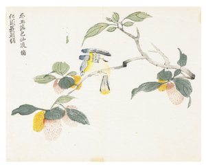 Zahrada hořčičných semen od Chinese School