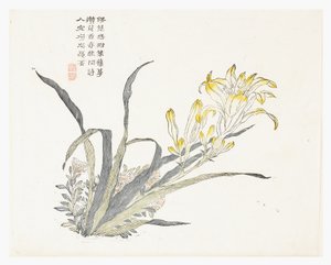 Zahrada hořčičných semen od Chinese School