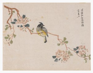 Zahrada hořčičných semen od Chinese School