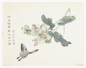 Zahrada hořčičných semen od Chinese School