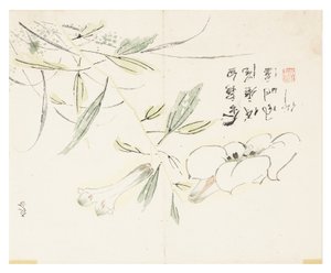 Zahrada hořčičných semen od Chinese School