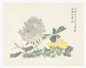 Zahrada hořčičných semen od Chinese School