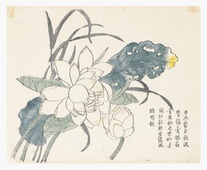 Zahrada hořčičných semen od Chinese School
