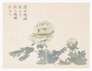 Zahrada hořčičných semen od Chinese School