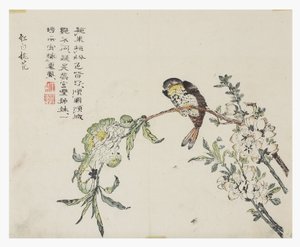Zahrada hořčičných semen od Chinese School