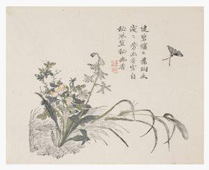 Zahrada hořčičných semen od Chinese School