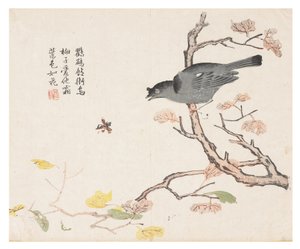 Zahrada hořčičných semen od Chinese School