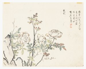 Zahrada hořčičných semen od Chinese School