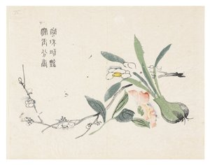 Zahrada hořčičných semen od Chinese School