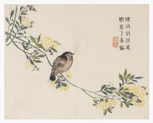 Zahrada hořčičných semen od Chinese School