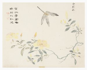 Zahrada hořčičných semen od Chinese School