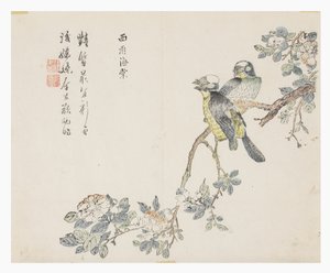 Zahrada hořčičných semen od Chinese School