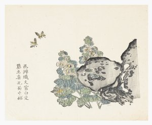 Zahrada hořčičných semen od Chinese School