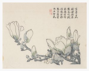 Zahrada hořčičných semen od Chinese School