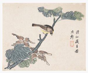 Zahrada hořčičných semen od Chinese School