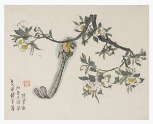 Zahrada hořčičných semen od Chinese School