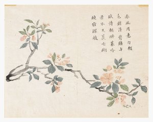 Zahrada hořčičných semen od Chinese School