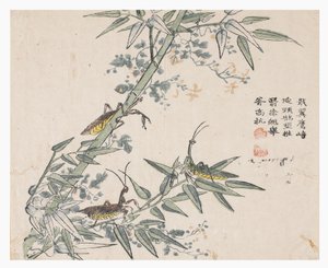 Zahrada hořčičných semen od Chinese School