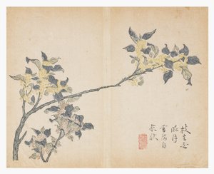 Zahrada hořčičných semen od Chinese School