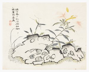 Zahrada hořčičných semen od Chinese School