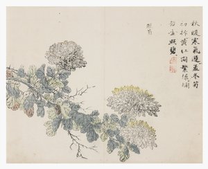 Zahrada hořčičných semen od Chinese School