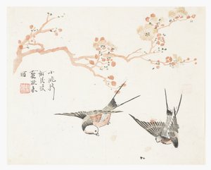 Zahrada hořčičných semen od Chinese School