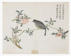 Zahrada hořčičných semen od Chinese School