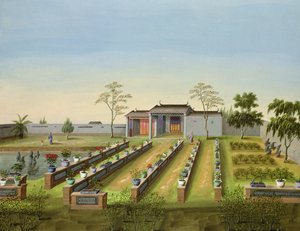 Nursery Garden, c.1820-40 (Wc na papíře) od Chinese School