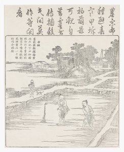Výsev rýže do záhonu., 18. stol od Chinese School
