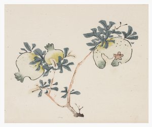 Řada Deset bambusů, 18. století od Chinese School