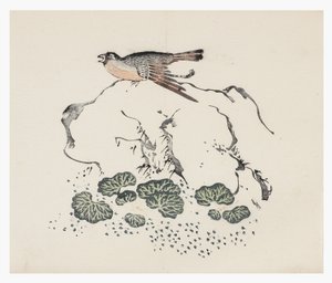 Řada Deset bambusů, 18. století od Chinese School