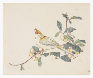 Řada Deset bambusů, 18. století od Chinese School