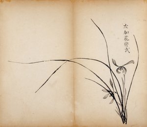 Ten Bamboo Studio Prints, 1643 (dřevěný blok) od Chinese School