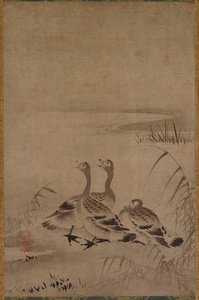 Divoké husy od Chōkichi