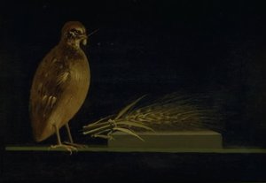 Křepelka jí klas kukuřice od Christen Købke